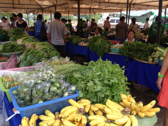 Organic farmers market (in September)