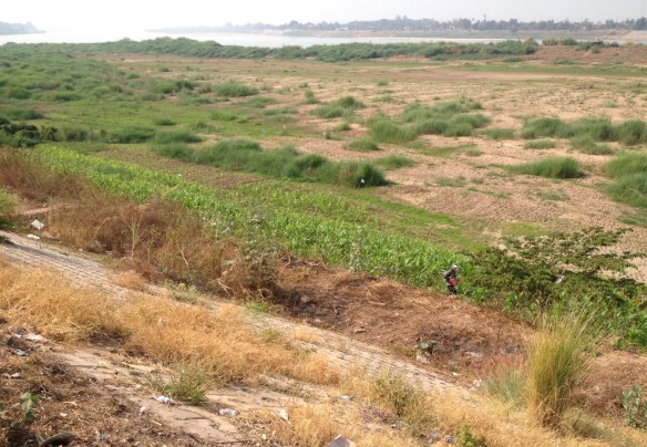 Mekong riverside garden
