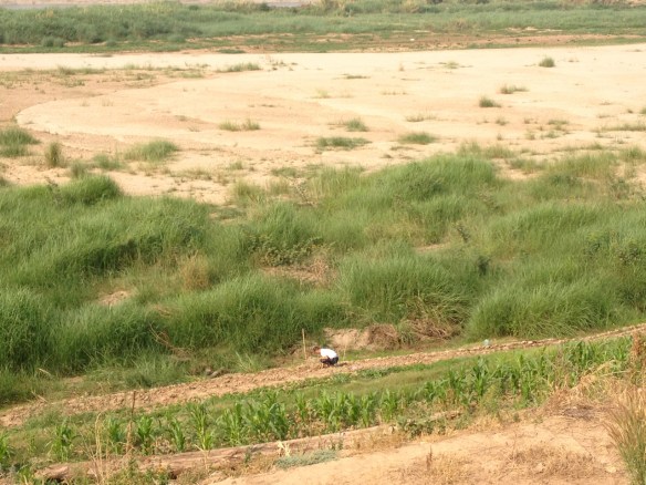 Tending a riverside garden by the Mekong