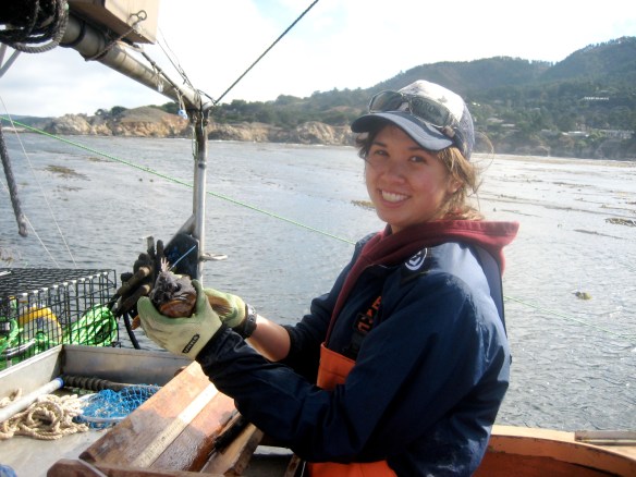 Collecting gopher rockfish for my thesis in grad school.